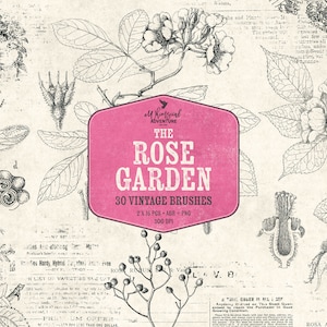 Jardín de rosas - Sellos digitales - Ilustración botánica - Pinceles vintage para Photoshop - Descarga instantánea