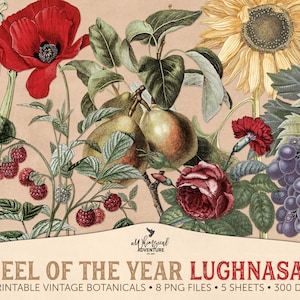 Fleurs vintage imprimables de Lughnasadh, illustration botanique antique, roue de l'année, téléchargement immédiat