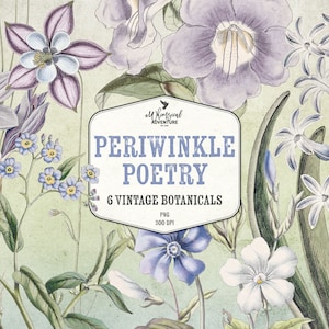 Periwinkle Poetry, Vintage Botanical Illustration, Digital Scrapbook Collage Kit, Very Peri, Blue And Violet, Pastel Spring Flowers