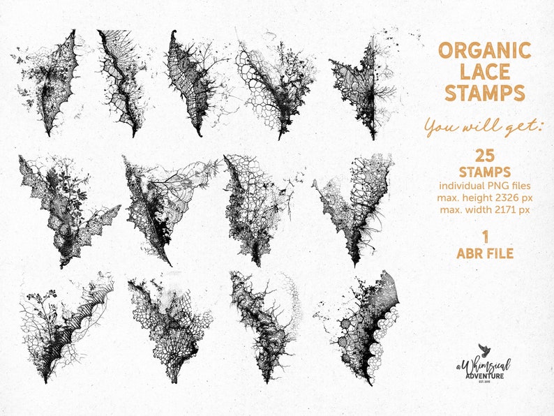 May include: A set of 25 black and white organic lace stamps, perfect for adding a delicate touch to your crafting projects. The stamps are in the shape of leaves and branches, and they come with a corresponding ABR file.