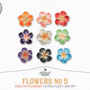 Flores Tropicais, Cabochão de Flor Araliya Digital, Argila de Polímero, Uso Comercial OK, Download Digital, Elementos de Scrapbooking Digital, Verão