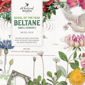 Éléments de scrapbooking Beltane, Roue de l'année, Technique mixte, Cadeau du 1er mai, Téléchargement numérique