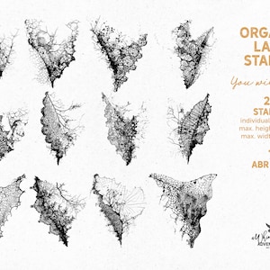 May include: A set of 25 digital stamps featuring intricate black and white lace designs inspired by organic shapes. The stamps are perfect for adding a delicate touch to your digital projects.