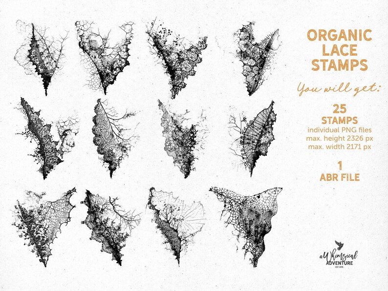May include: A set of 25 digital stamps featuring intricate black and white lace designs inspired by organic shapes. The stamps are perfect for adding a delicate touch to your digital projects.