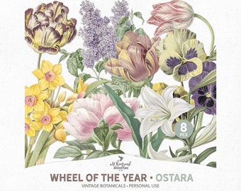 Ostara Flower Images, Antique Botanical Illustration, Printable Vintage Florals, Instant Download
