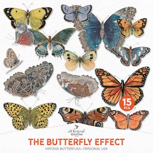 Vintage Butterflies, The Butterfly Effect, Antique Butterfly Images, Natural History, Instant Download