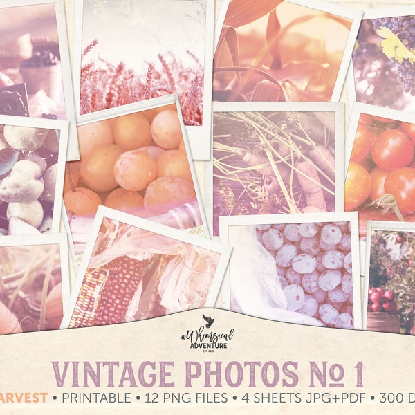 Vintage Style Harvest Pictures, Printable Shabby Retro Photographs, August Fruit Snapshots, Lughnasadh Junk Journal Ephemera