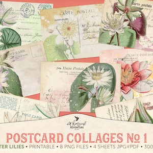 Conjunto de colagens de cartões postais de nenúfares vintage, diário de ninfas botânicas para impressão, arranjos digitais de nenúfares florais