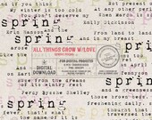 Classic Poetry Quotes, Spring Themed Literature, Erin Hanson, Emily Dickinson Poem, Charlotte Brönte, Typewriter Quotes On Spring, Word Art