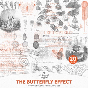 The Butterfly Effect, Digital Stamps, Photoshop Brushes, Old Book Illustrations, Instant Download