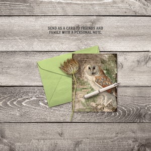 May include: A vintage-style card featuring a brown and white owl with a green background. The card has the text "Patience is the companion of wisdom" printed on it.