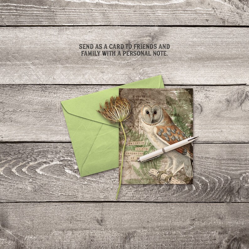 May include: A vintage-style card featuring a brown and white owl with a green background. The card has the text "Patience is the companion of wisdom" printed on it.
