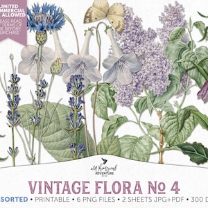 Illustrations de fleurs vintage, clipart botanique imprimable, histoire naturelle, téléchargement immédiat