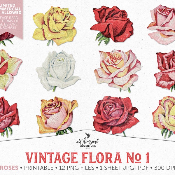 Antique Rose Illustrations, Printable Roses Clipart, Natural History, Fussy Cut, Instant Download