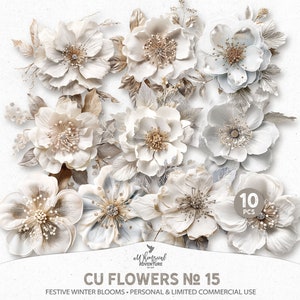 Clip Art PNG di fiori invernali bianchi gelidi, download digitale di elementi floreali per scrapbooking per uso personale e commerciale limitato