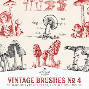 Pincéis de Photoshop, Cogumelos da Floresta, Botânico Vintage, Uso Comercial OK, Download Digital
