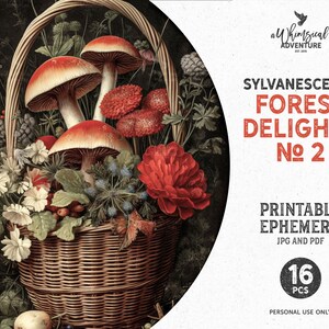Sylvanescence afdrukbare rieten mand betoverd bos met paddenstoelen en bloemen, digitale download Goblincore Fantasy Journal