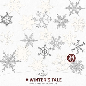 Glitter Ice Crystal, Winter Wonderland, Snow Queen, Digital Scrapbook Supplies, Instant Download, Silver Snowflake Images, Vintage Crystals