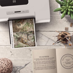 May include: Printable sheets with two owl illustrations in a vintage style. The sheets are designed for printing at home and include tips for printing on a home printer. The text on the sheet reads "Motivational Cards No. 1 Owl Wisdom".