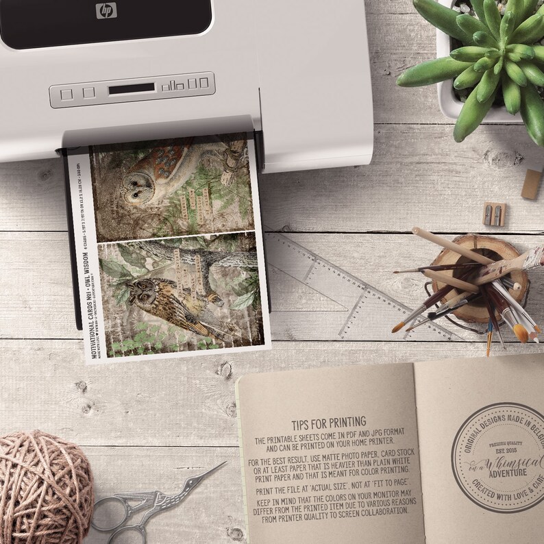 May include: Printable sheets with two owl illustrations in a vintage style. The sheets are designed for printing at home and include tips for printing on a home printer. The text on the sheet reads "Motivational Cards No. 1 Owl Wisdom".