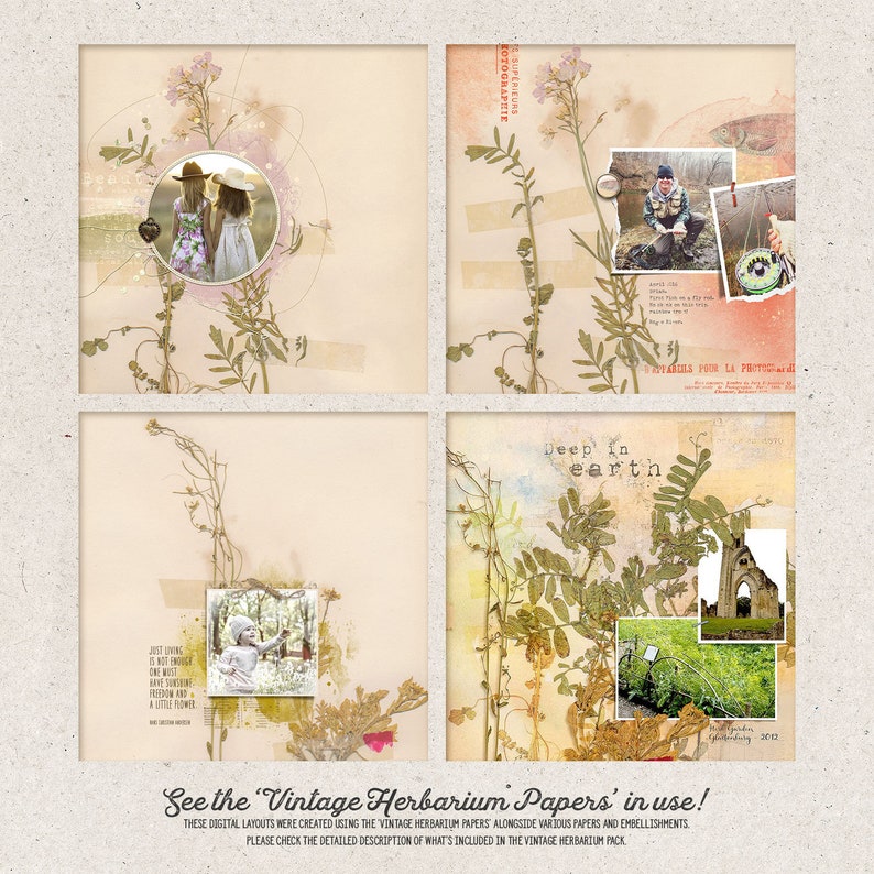 Plantes pressées, album d'herbier, fleurs séchées, toile de fond numérique, téléchargement immédiat, paquet de papier, cliparts bois, créations artisanales, scrapbooking image 3