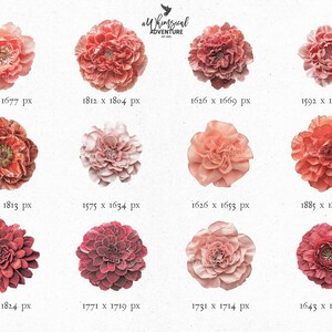 Pink and Red Spring Flowers PNG Clipart Files, Digital Download Floral ...