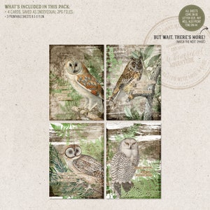 May include: Four printable cards featuring different owl illustrations. Each card has a vintage, distressed background with green foliage and text. The owls are depicted in various poses, including a barn owl, a great horned owl, a snowy owl, and a barred owl.