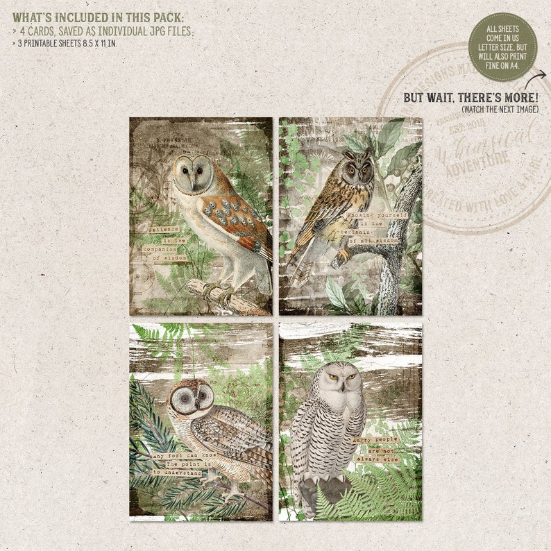 May include: Four printable cards featuring different owl illustrations. Each card has a vintage, distressed background with green foliage and text. The owls are depicted in various poses, including a barn owl, a great horned owl, a snowy owl, and a barred owl.