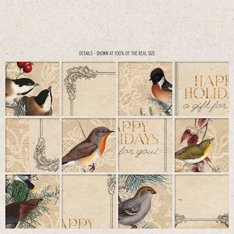 Printable Gift Envelopes, Christmas Gift Wrap, Vintage Birds, Lace Background, Instant Download image 6