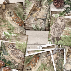 May include: A collage of vintage-style cards featuring owls with inspirational quotes. The quotes include "Patience is the companion of wisdom", "Knowing yourself is the beginning of all wisdom", and "Angry people are not always wise".
