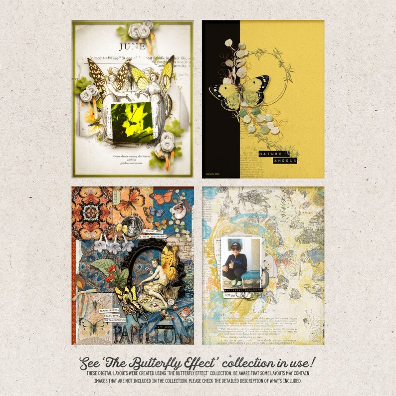 The Butterfly Effect, Digital Stamps, Photoshop Brushes, Old Book Illustrations, Instant Download image 7