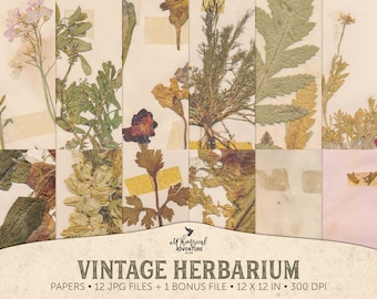 Pressed Plants, Herbarium Album, Dried Flowers, Digital Backdrop, Instant Download, Paper Pack, Woodland Clipart, Papercraft, Scrapbooking