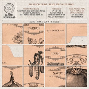 Vegetable Seed Notes Harvesting Seeds From Vegetables, Seed Savers, Digital Collage Sheet ...