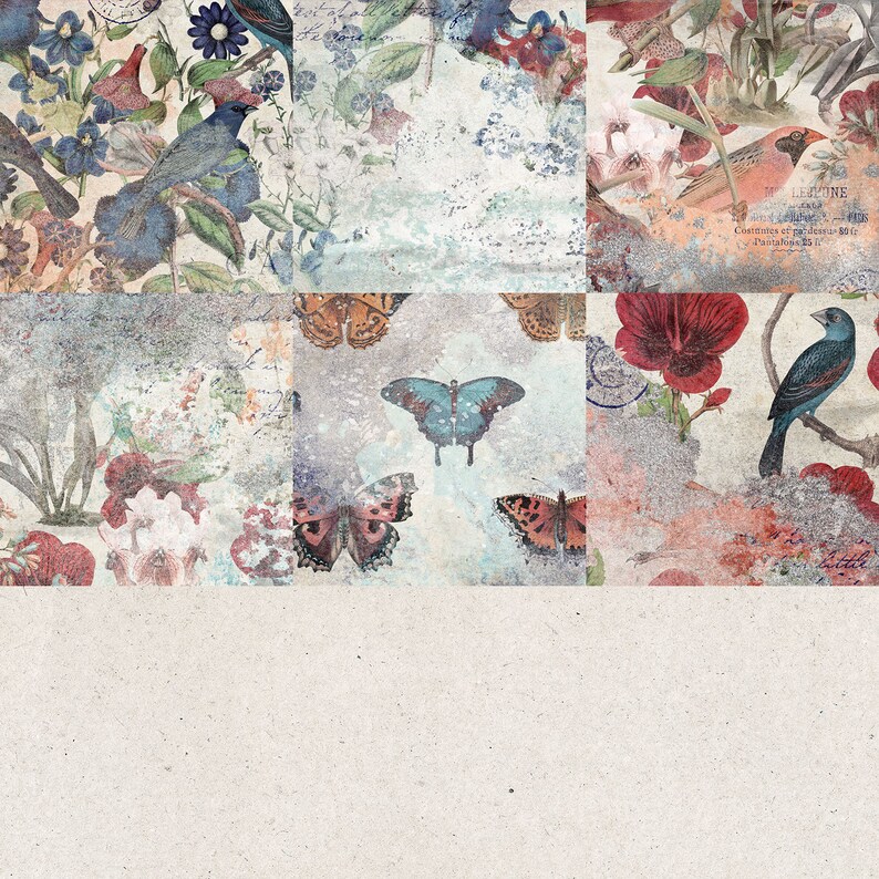 K&ouml;nnte beinhalten: Eine Collage aus Vintage-Bildern mit Schmetterlingen, V&ouml;geln und Blumen. Die Bilder sind in einem Raster angeordnet und haben einen verblassten, abgenutzten Look. Der Hintergrund ist hellbeige.