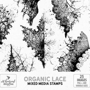 Organic Black Lace Mixed Media Stamps And Photoshop Brushes ABR, Digital Download PNG Clipart Files For Scrapbooking And Journaling