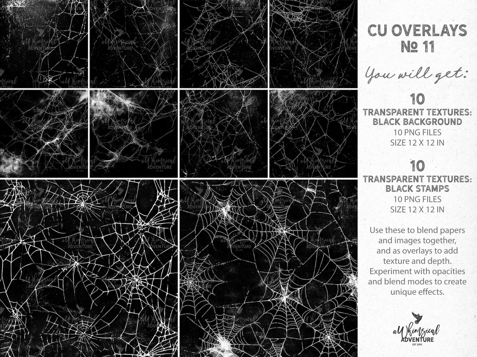 Transparent Grunge Cobweb Overlays PNG Files Scrapbook Designer Tools ...