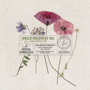 Fiori secchi, download digitale di fiori di campo, uso commerciale OK, kit a tema per esterni, elementi di scrapbooking