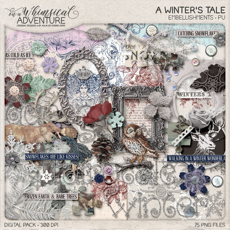 Kay And Gerda Ice Queen Fairytale Wedding Frozen Theme Crafts Winter Wonderland Winter Wedding Scrapbook The Snow Queen Scrapbook Kit
