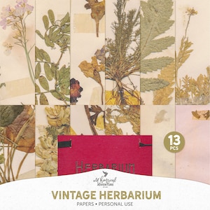 Plantas prensadas, álbum de herbário, flores secas, cenário digital, download instantâneo, pacote de papel, clipart de floresta, artesanato em papel, scrapbooking