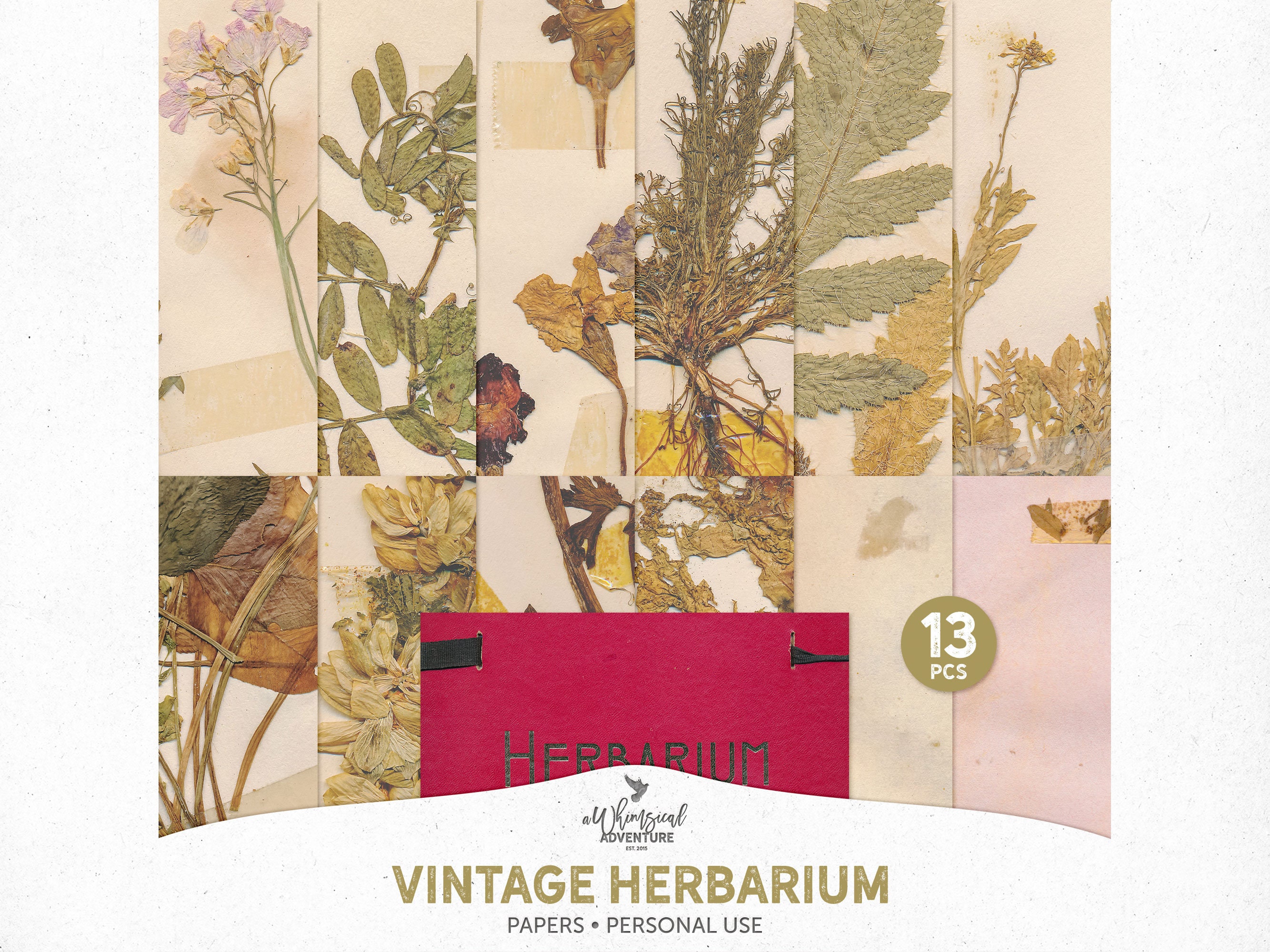 Craft Consortium Book 'the Herbarium', Premium Quality Paper With  Illustrations by Katy Hackney. Size of Book 155 Mm Square. 