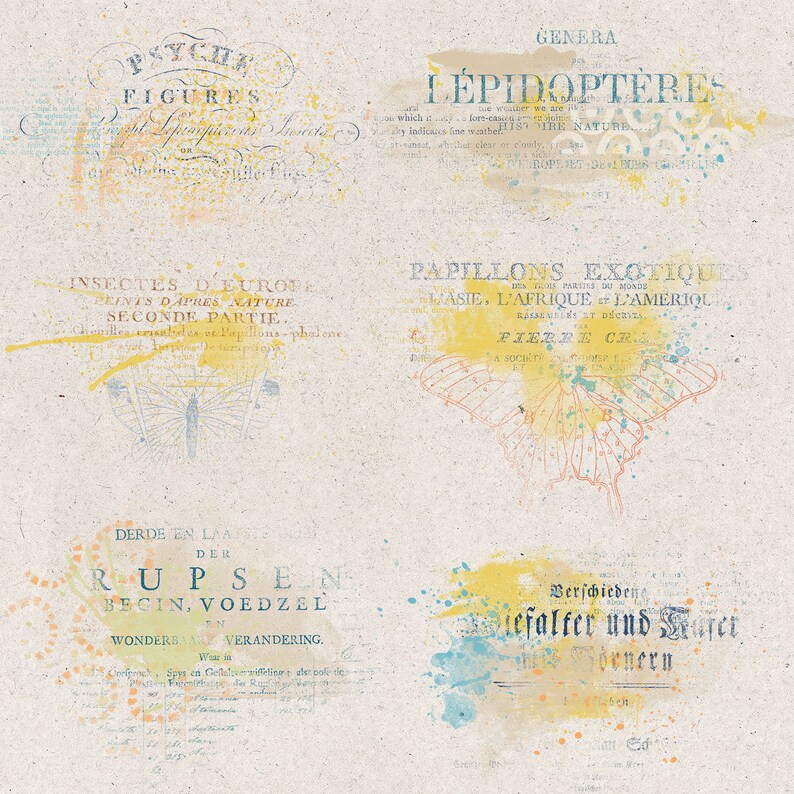 Butterfly Themed, Vintage Typography Overlays, Distressed Titles, From Old Books, Instant Download image 2