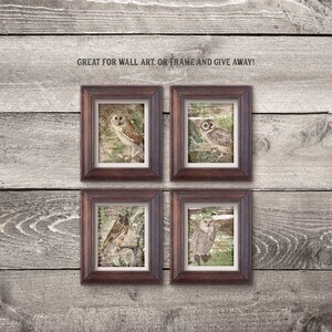 May include: Four framed prints of owls with vintage illustrations and text. The frames are brown wood with a dark brown mat. The prints are on a light wood background.
