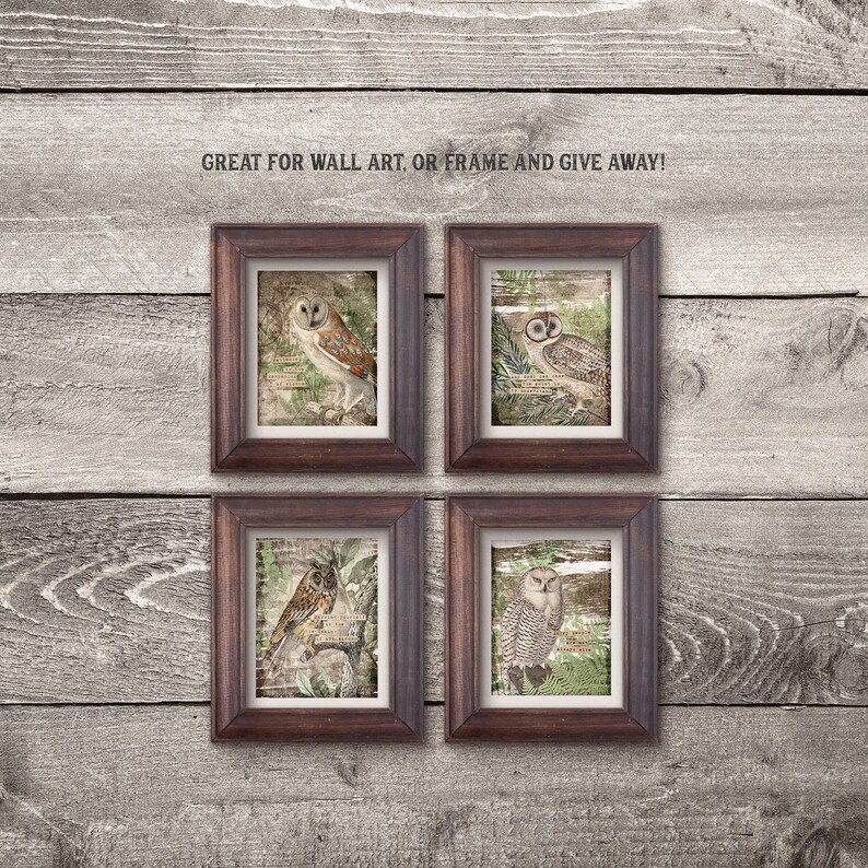 May include: Four framed prints of owls with vintage illustrations and text. The frames are brown wood with a dark brown mat. The prints are on a light wood background.