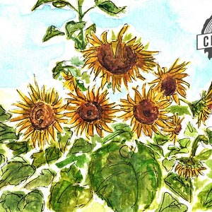 Girasole Water Color Post Card Digital Download Stampabile
