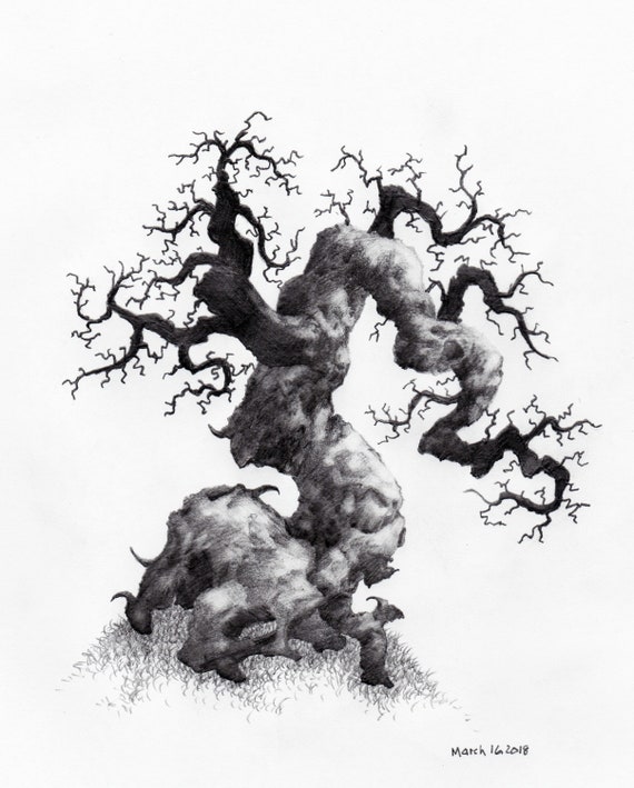 Tree Sketch #103 Autumn Tree - Apolo Prints - Drawings & Illustration,  Flowers, Plants, & Trees, Trees & Shrubs, Other Trees & Shrubs - ArtPal