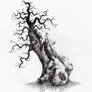 Original Pencil Sketch of Tree part of a large art series, Tree Drawing, Wall Art. Home Decor, Framed and Matted. Owentree Studios