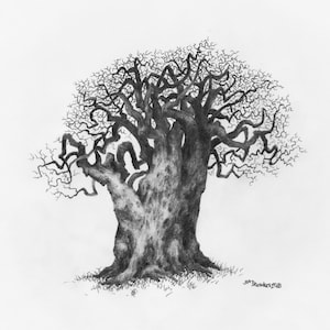 Original Pencil Sketch of Tree part of a large art series, Tree Drawing, Wall Art. Home Decor, Framed and Matted. Owentree Studios