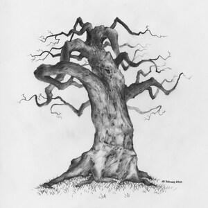 Original Pencil Sketch of Tree part of a large series. Tree Drawing, Wall Art. Home Decor, Framed and Matted. Owentree Studios