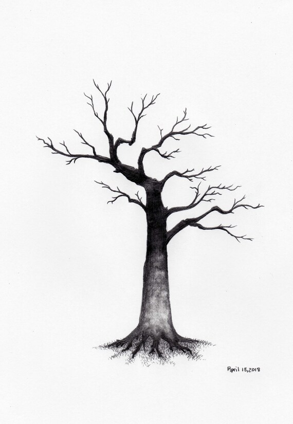 Original Pencil Sketch Of Tree Part Of A Large Art Series Tree Drawing Wall Art Home Decor Framed And Matted Owentree Studios