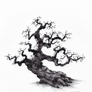 Original Pencil Sketch of Tree part of a large art series, Tree Drawing, Wall Art. Home Decor, Framed and Matted. Owentree Studios